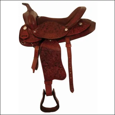 Quel est le nom de cette selle ?