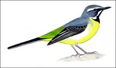 L'oiseau est l'attribut de ...