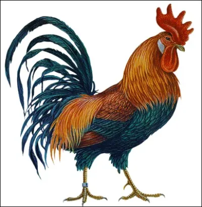 Le coq est l'attribut de ...