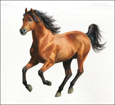 Le cheval est l'attribut de ...