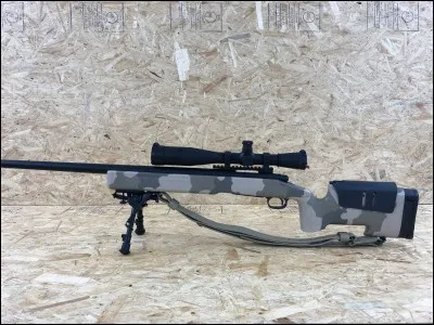 Quelle est cette arme ?