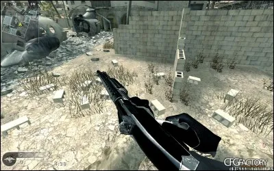 Quelle est cette arme ?