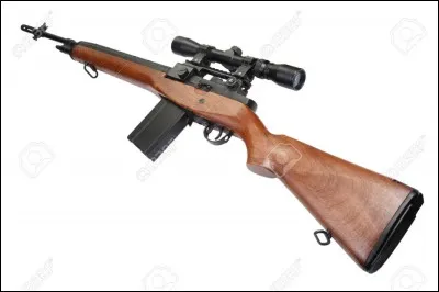 Quelle est cette arme ?