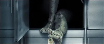 Ces deux films d'horreur correspondent parfaitement au thème de ce quizz. 
Mais lequel à ceci pour affiche ?