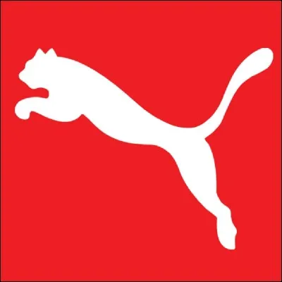 À qui appartient cette marque de vêtements ? Puma