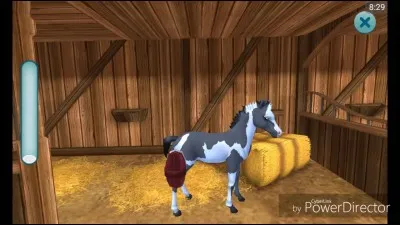 Peut-on avoir un poulain dans SSO ?