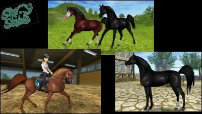 Sur quel bouton appuies-tu pour faire une photo ?