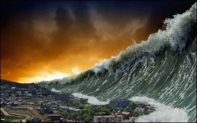 Combien de mètres mesurait la vague du tsunami qui a frappé le Japon ce jour-là ?