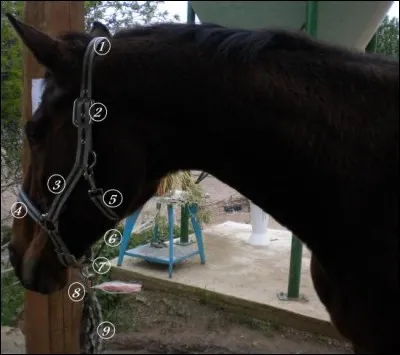 La partie numéro 2 est...