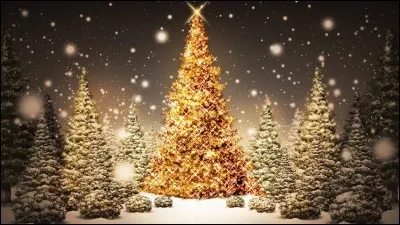 Qui déteste Noël ?