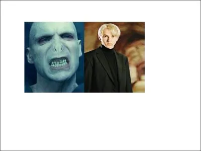 Qui sont les ennemis d'harry ?