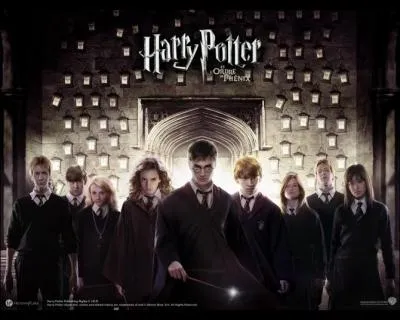 Qui sont les membres principaux de l'Arme de Dumbledore ?