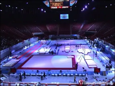 Combien y a-t-il d'agrès en gymnastique féminine et quels sont-ils ?