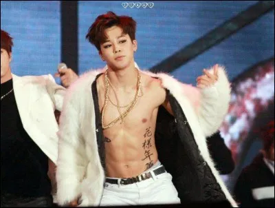 Il est le plus ---- du groupe avec Jungkook.