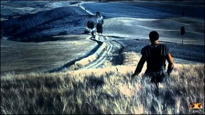 ''Now We Are Free'' est le thème de ''Gladiator'' , un film avec Russell Crowe dans le rôle de Maximus opposé à un empereur romain incarné par Joaquin Phoenix. Quel est le nom de ce sinistre personnage ?