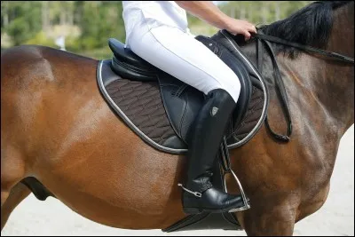 Quelle partie ne se situe pas sur la selle ?