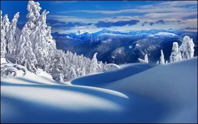 Qu'aimes-tu faire quand il neige ?