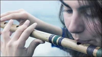 À qui doit-on "La Flûte enchantée" ?