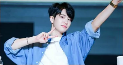 A quoi Youngjae est-il allergique ?