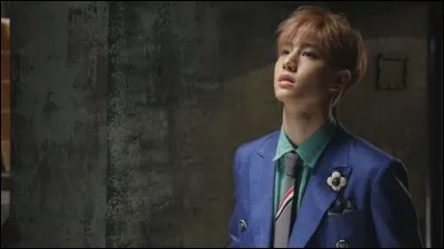 De quel clip provient cette image ?