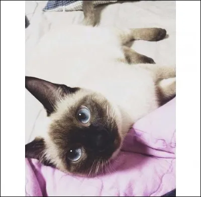 A qui appartient Nora ?