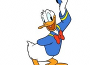 Les canards dans l'univers de Donald Duck