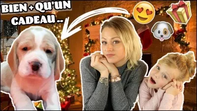 Comment s'appelle le chien de la famille ?