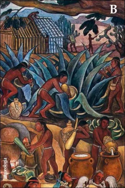 Qui a représenté "La tequila" au milieu de ces plantes grasses ?