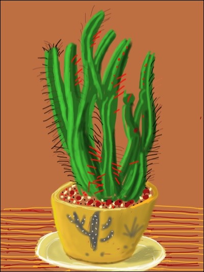 Qui a peint ce cactus ?
