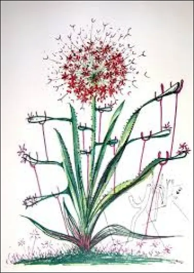 Qui est l'auteur de "Cactus - Les béquilles" ?