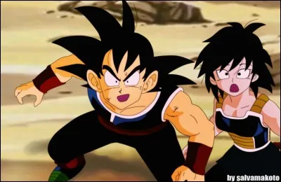 Comment s'appelaient les parents de Goku ?