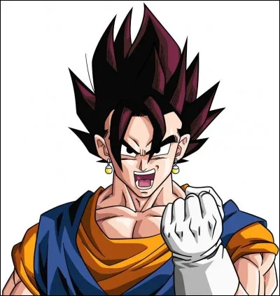 Quelle fusion a été utilisée pour que Vegeta et Goku deviennent Vegetto ?