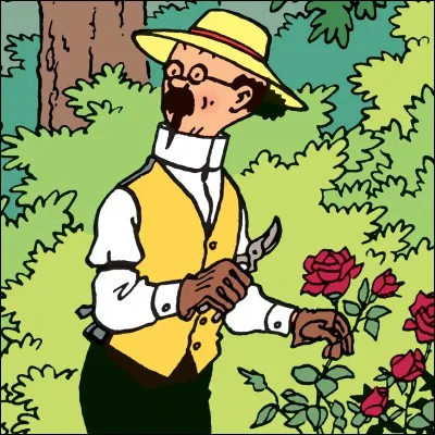 Dans quel album Tintin rencontre-t-il le professeur Tournesol ?
