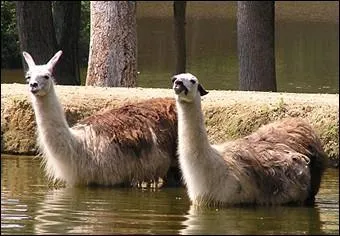 Est-ce que je crache?