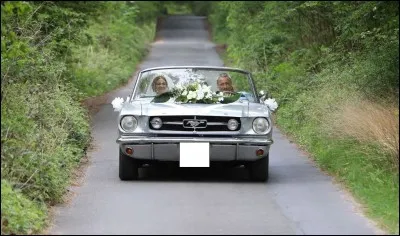 Quelle est l'immatriculation de la voiture des mariés ?