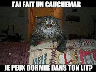 Cette nuit, j'ai été réveillé par...