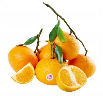 Quel est cet agrume ?