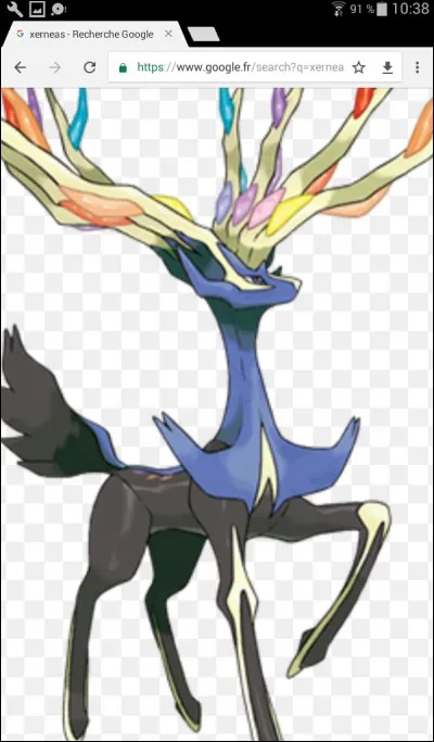 Quel est le numéro de Pokédex de Xernéas ?