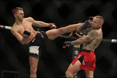 Aimes-tu te battre ?