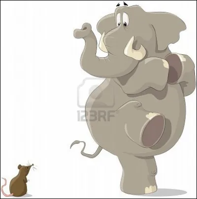 Es-tu plutôt grand ou petit ?