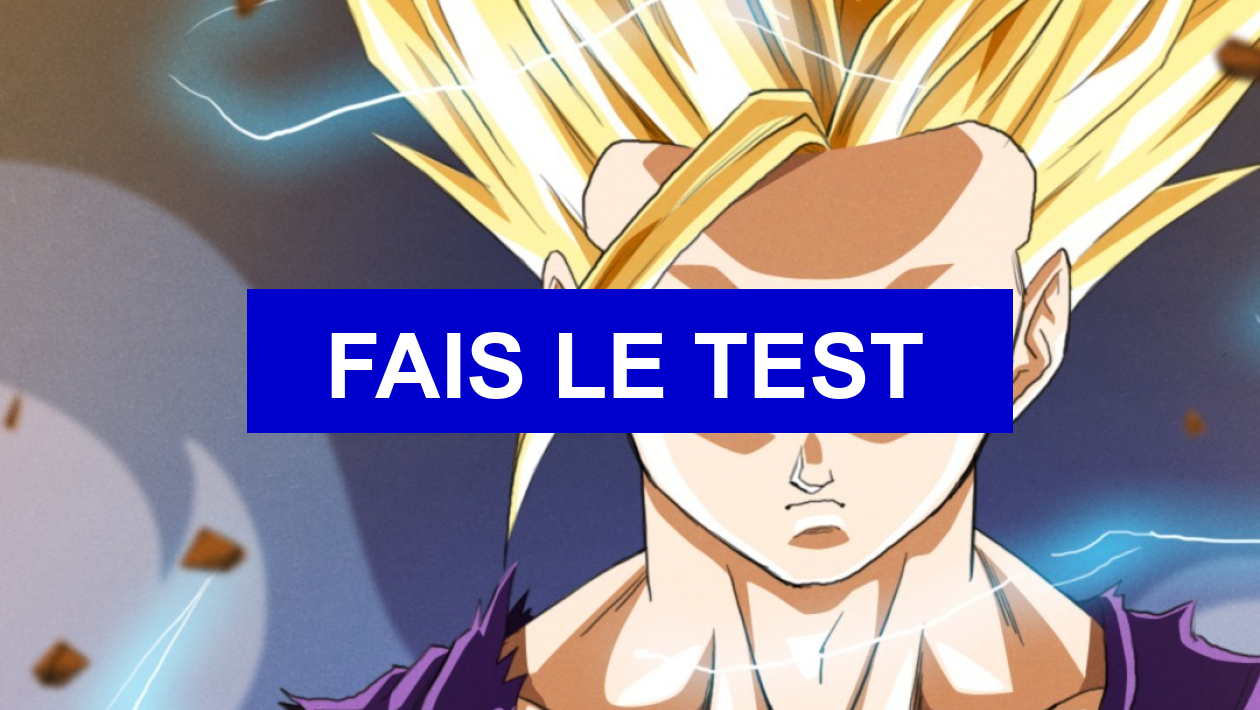 Test De Personnalité Dragon Ball Test de personnalité Quel personnage de DBZ es-tu ?