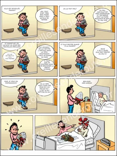 Quelle BD préfères-tu ?