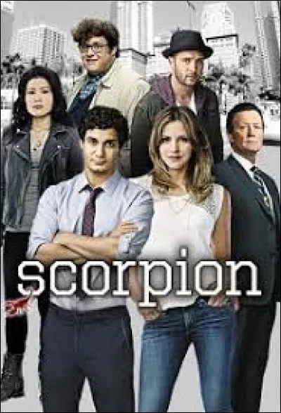 Scorpion - Qui est le chef de l'équipe Scorpion ?