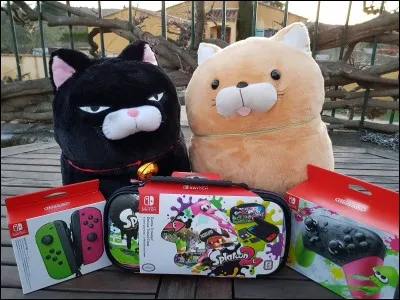 Cette photo est &agrave; :