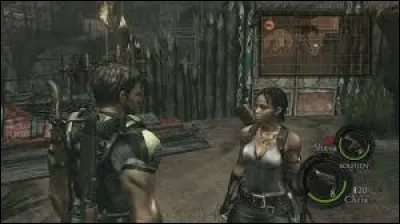 Arrivés dans les marais, Chris et Sheva sont ralentis par une porte demandant de retrouver 4 éléments. De quoi s'agit-il ?