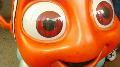 Qui est-ce dans "Nemo" ?