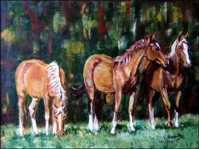 Les chevaux sont-ils bien tout seul ?