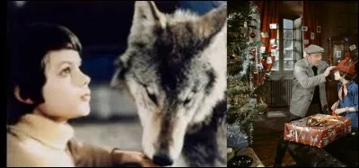 Ce film existe en deux versions légèrement différentes ! Ce film raconte l'histoire d'un enfant, Pascal qui a été accidentellement irradié. Il n'a plus que 6 mois à vivre !
Quel est ce film où Bourvil montre un autre aspect de son talent ?