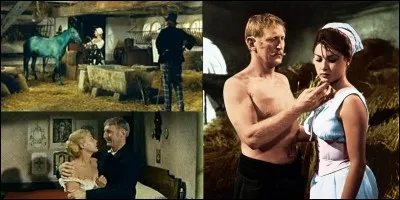 Nous sommes à Claquebue, un petit village envahi par les Prussiens (nous sommes en 1870). La mère du héros est violée par un de ces envahisseurs, le fils, témoin de ce viol, va éprouver de la haine pour ses voisins qui l'ont dénoncé comme franc-tireur. Achille Zavatta, Francis Blanche, Yves Robert font partie de la distribution, ainsi qu'un animal bizarre.
Quel est ce film ?