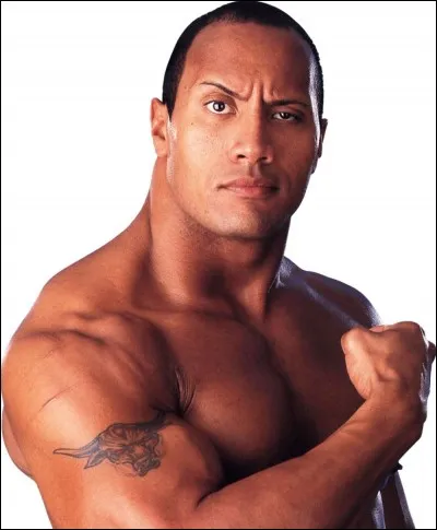 Jey et Jimmy Uso sont les cousins du catcheur Dwayne "The Rock" Johnson. Vrai ou faux ?